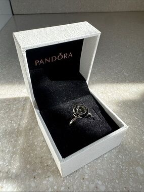 Pandora Sterling Silver Rose in Bloom Ring